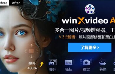 免费获取！Winxvideo AI：高效提升视频与照片的质量和像素 17