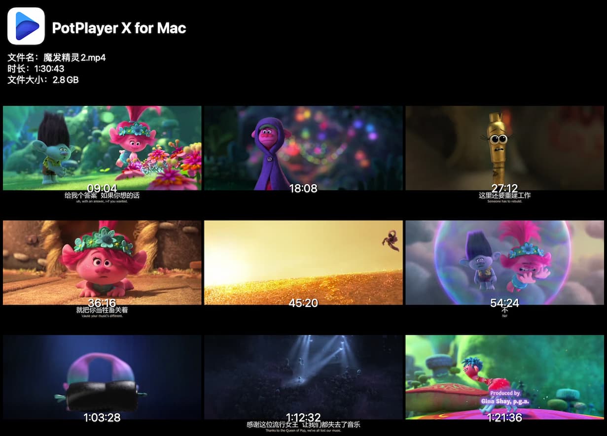 PotPlayer X - 免费的全新 macOS 视频播放器 5