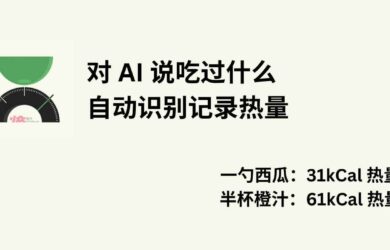 FoodCa - 「一勺西瓜，半杯橙汁」AI 帮你自动识别记录热量，身材管理必备[iPhone] 18