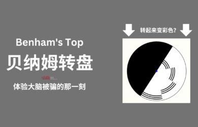 贝纳姆转盘：体验大脑被骗的那一刻：著名视错觉，黑白变彩色 20