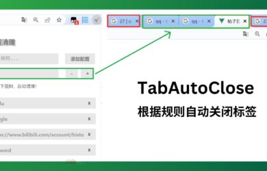 TabAutoClose - 根据规则自动关闭标签也[Chrome] 7