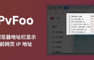 IPvFoo - 在浏览器地址栏显示当前网页 IP 地址[Chrome/Firefox] 14