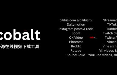 cobalt - 开源在线视频下载工具，支持 B 站、Pinterest、Tiktok、VK、YouTube、Instagram、Reddit 等[Web] 12