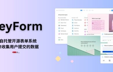 HeyForm - 开源表单系统，可自托管。用来收集用户提交的数据 19