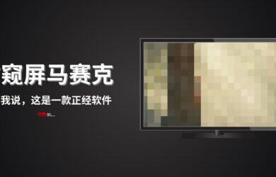 防窥屏·马赛克 - 你听我说，这是一款正经软件 7