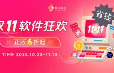 2024 双 11 正版软件大促 6 折起，160+ 热门软件无套路折扣直降 9
