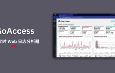 GoAccess - 开源实时 Web 日志分析器  17