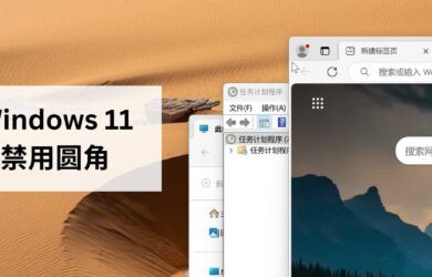 在 Windows 11 中禁用圆角 17