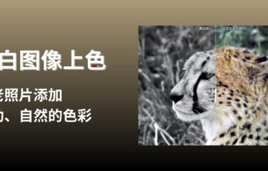 DDColor - 黑白图像上色，为老照片添加生动、自然的色彩 20