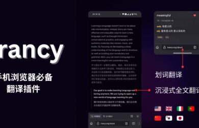 手机浏览器必备翻译插件 - Trancy 19