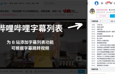 哔哩哔哩字幕列表 - 为 B 站添加字幕列表功能，可根据字幕跳转视频[Chrome/Edge] 20