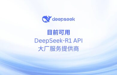 目前可用的 DeepSeek R1 模型 API 服务商(2025年2月) 14