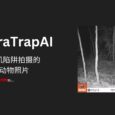 CameraTrapAI - 识别相机陷阱拍摄的野生动物照片的 AI 模型 6