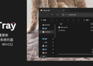 RBTray：老古董更新：右键最小化到系统托盘[Win10、Win11] 11