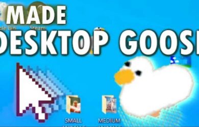Desktop Goose - 给你的电脑加上一直会捣乱的鹅，作为桌面宠物[Win/macOS] 13