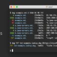 dog - 一个简单的彩色命令行 DNS 查询工具[Win/macOS/Linux] 12
