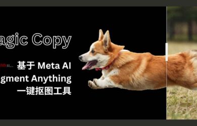 Magic Copy - 在 Chrome/Firefox 中一键抠图，基于 Meta AI 的 Segment Anything 模型 10