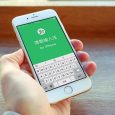 清歌五笔输入法 - iOS 与 OS X 专用 1