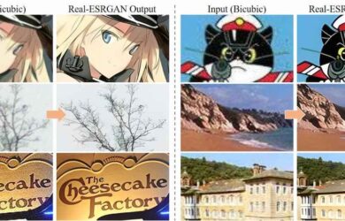 Real-ESRGAN - 针对照片、动画图片的分辨率放大工具 4