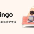 Relingo - 自动为文章与视频标示英文生词[Chrome] 7