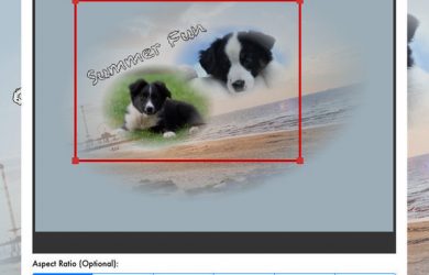 PhotoTangler - 制作微信群风格的「拼贴画」[iOS/Android] 57