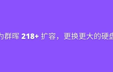群晖 DS218+ 扩容，更换更大的硬盘 20