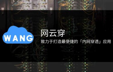 适合全平台使用的免费内网穿透工具，搭建我的世界（Minecraft）服务器、远程 SSH 等 10