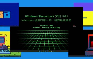 Windows Throwback - 梦回 1985，Windows 诞生的第一年，特殊版主题包 18