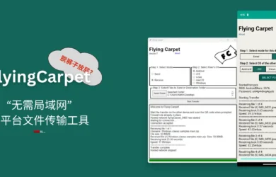 FlyingCarpet - 脱裤子放屁？不需要局域网、开源、跨平台文件传输工具 19