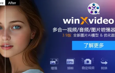 全年最低价| Winxvideo AI – 音频/图片/视频提升和转换工具 19